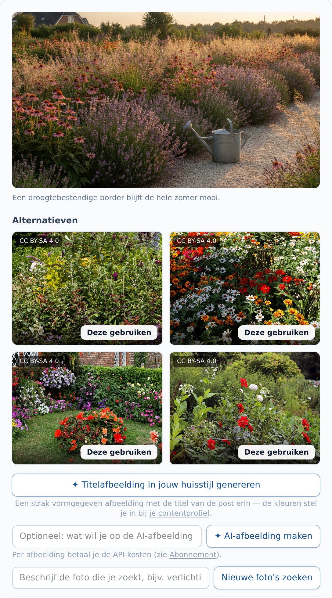 De afbeeldingskeuze bij een blogpost: een gekozen AI-afbeelding, vier stockfoto-alternatieven en knoppen voor een titelafbeelding, een AI-afbeelding en nieuwe foto's